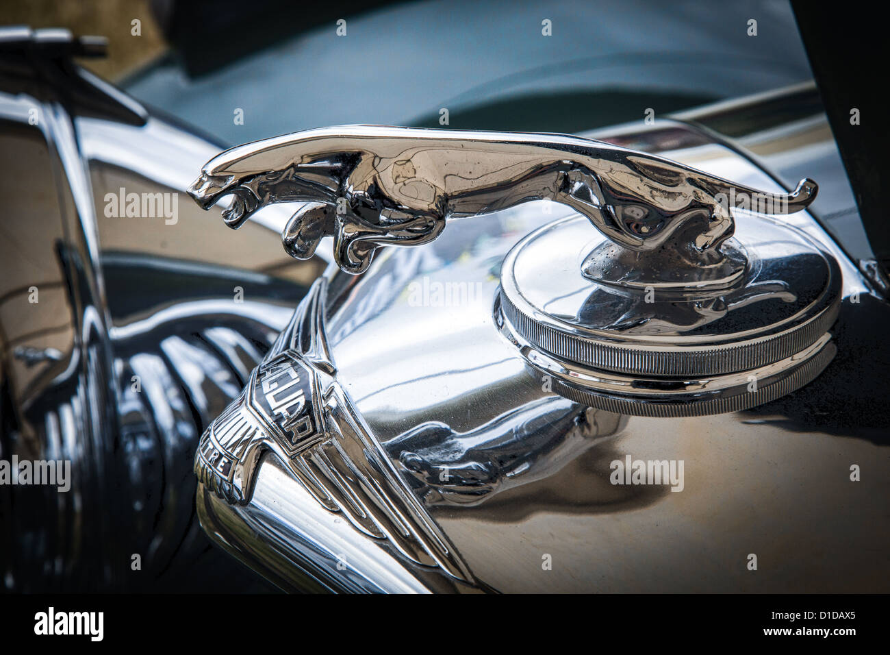 Nahaufnahme von einem alten Jaguar Automobil emblem Stockfoto