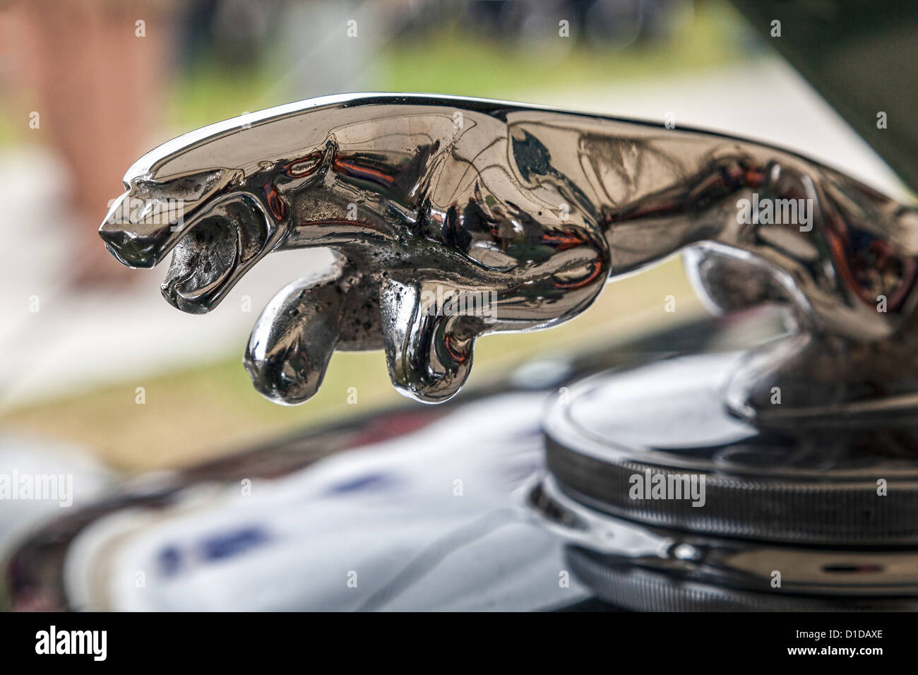 Nahaufnahme von einem alten Jaguar Automobil emblem Stockfoto