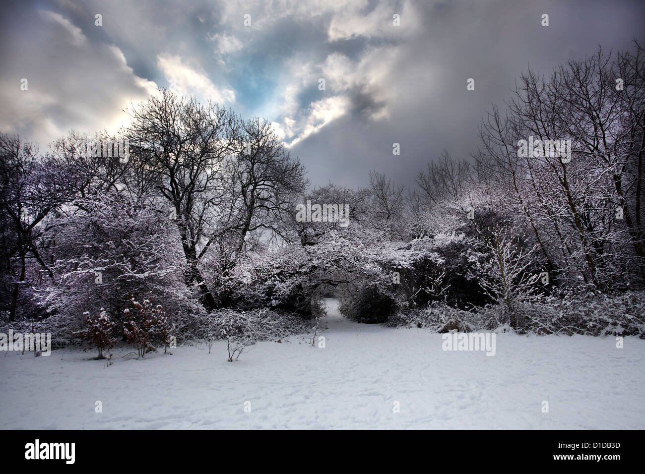 Winter-Szene von Hampstead Heath Stockfoto