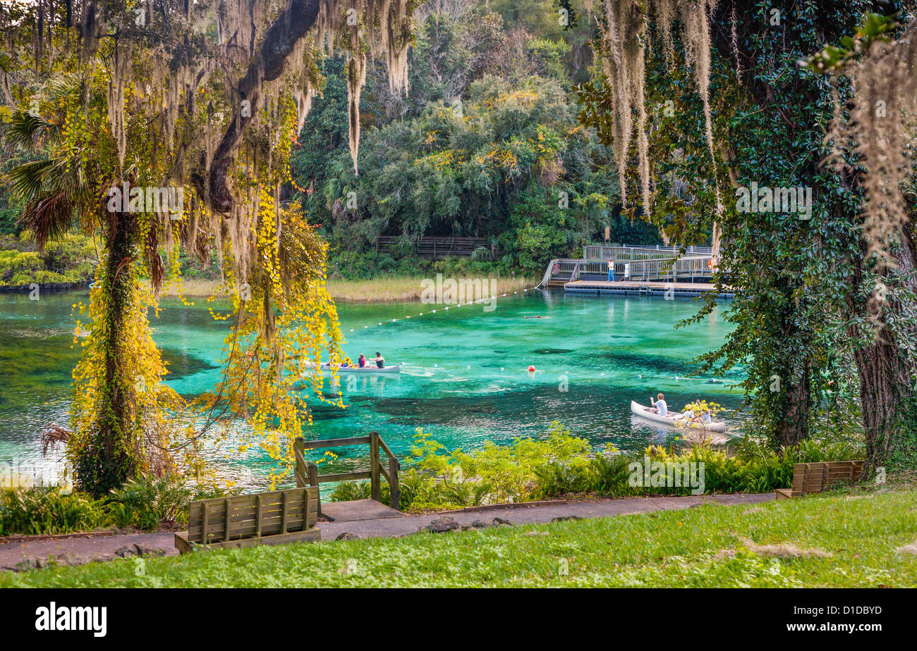 rainbow-springs-state-park-fotos-und-bildmaterial-in-hoher-aufl-sung
