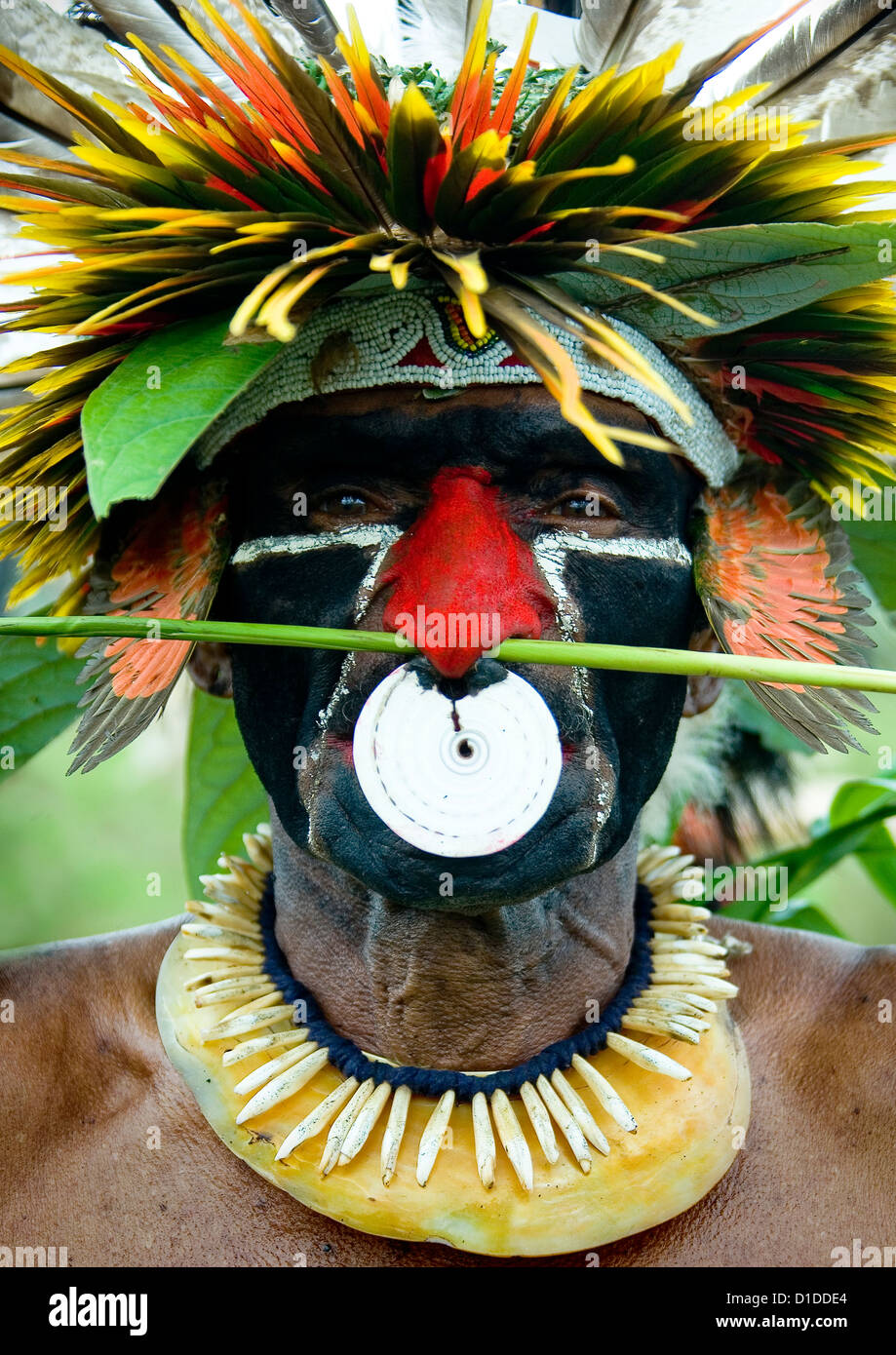 Mount Hagen Sing sing Festival, Hochland, Papua Neuguinea Stockfoto
