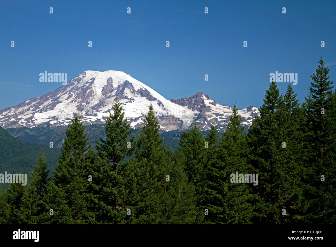 Mount Rainier in Mount Rainier Nationalpark, Washington, USA Stockfoto