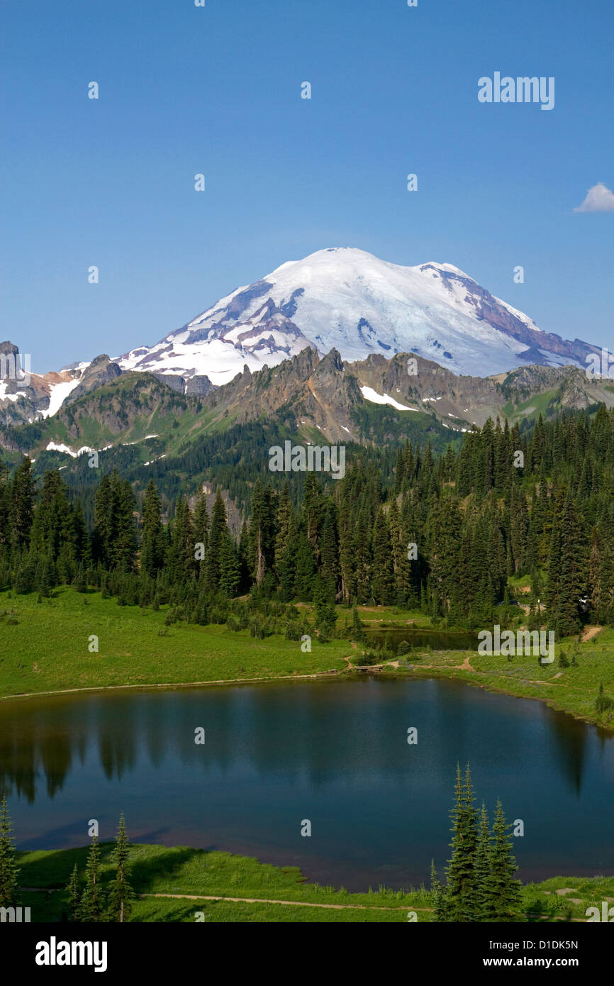 Tipsoo See und Mount Rainier in Mount Rainier Nationalpark, Washington, USA. Stockfoto