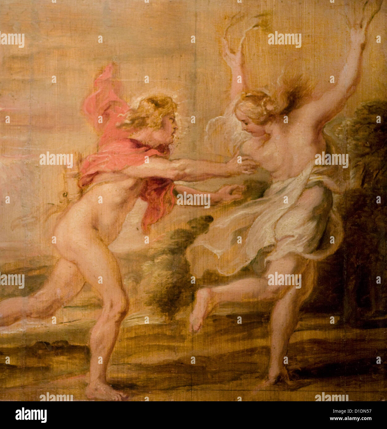 Pierre-Paul Rubens Apollon et Daphné 1636 XVII th Jahrhundert französische Schule Öl auf Holz Musée Bonnat - Bayonne Stockfoto