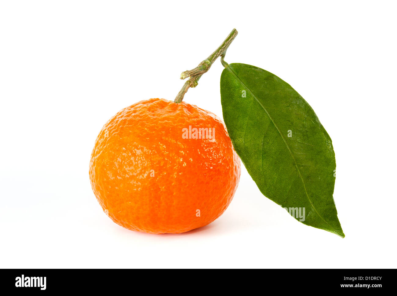 Mandarine mit Stiel und Blatt vor einem weißen Hintergrund Stockfoto