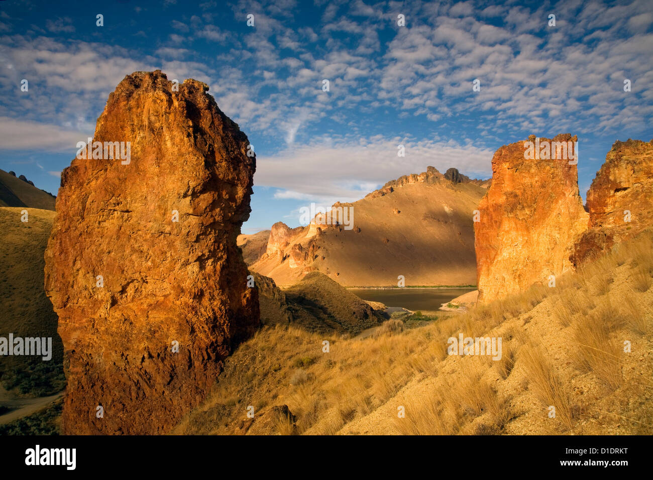 OR00885-00... OREGON - Türme der abgefressenen vulkanischen Tuff in Leslie Gulch in der Nähe von den Ufern des Sees Owyhee. Stockfoto