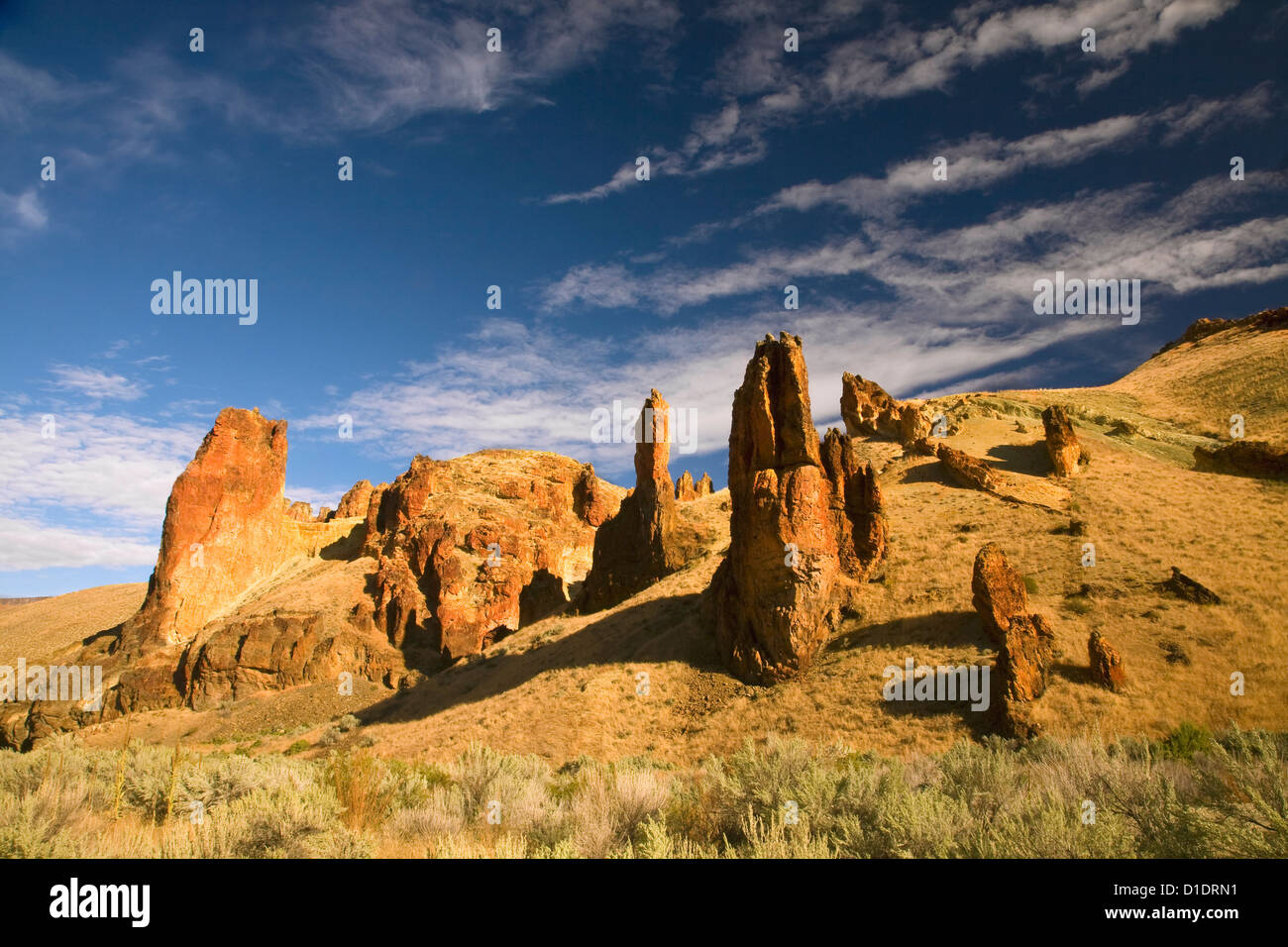 OR00888-00... OREGON - Türme der abgefressenen vulkanischen Tuff in Leslie Gulch in der Nähe von den Ufern des Sees Owyhee. Stockfoto