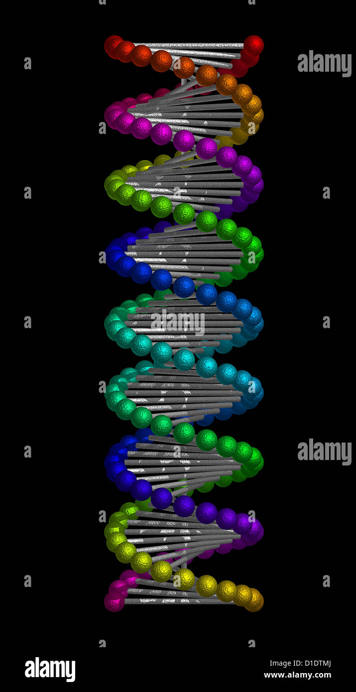 DNA-Doppelhelix Stockfoto