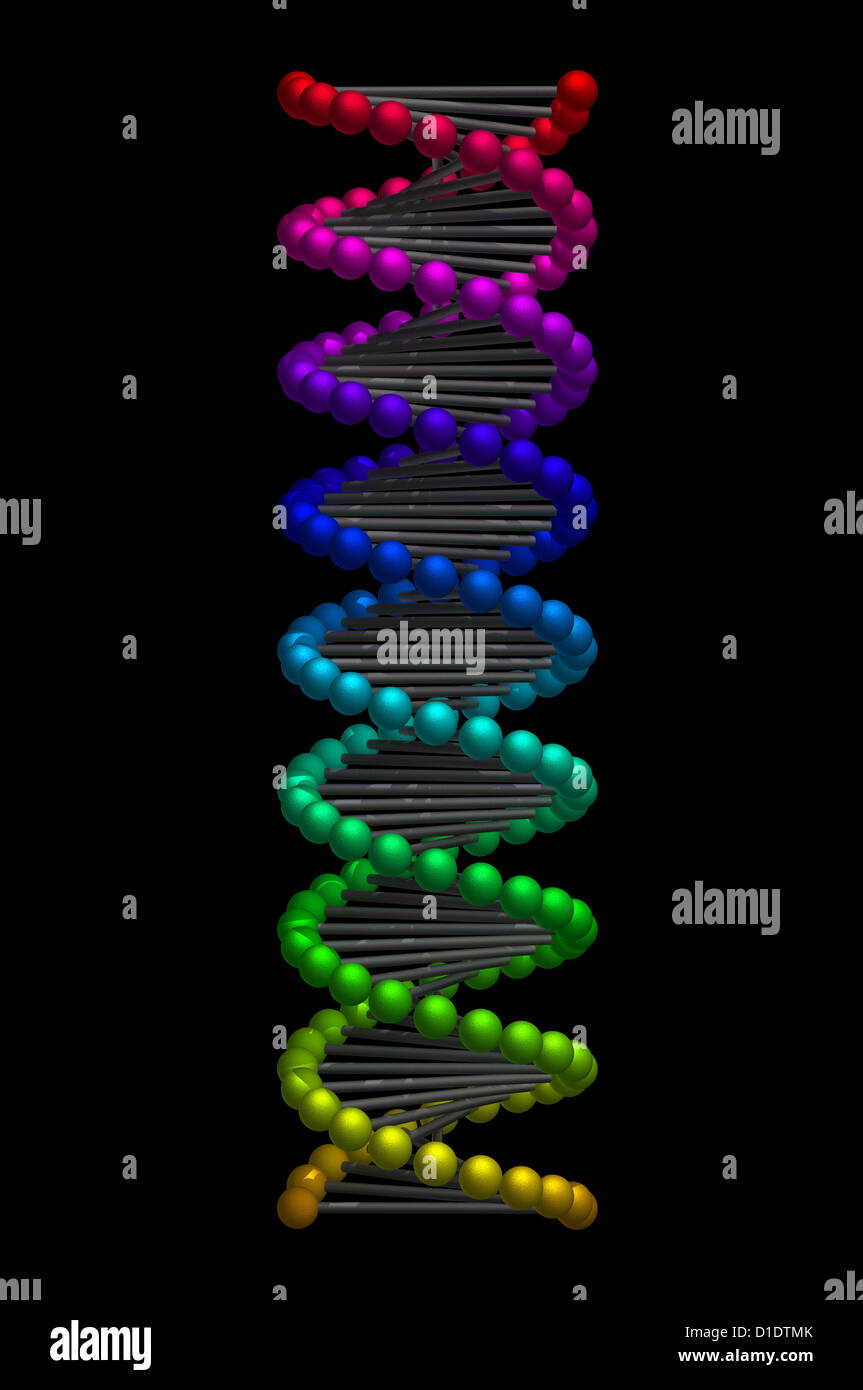 DNA-Doppelhelix Stockfoto