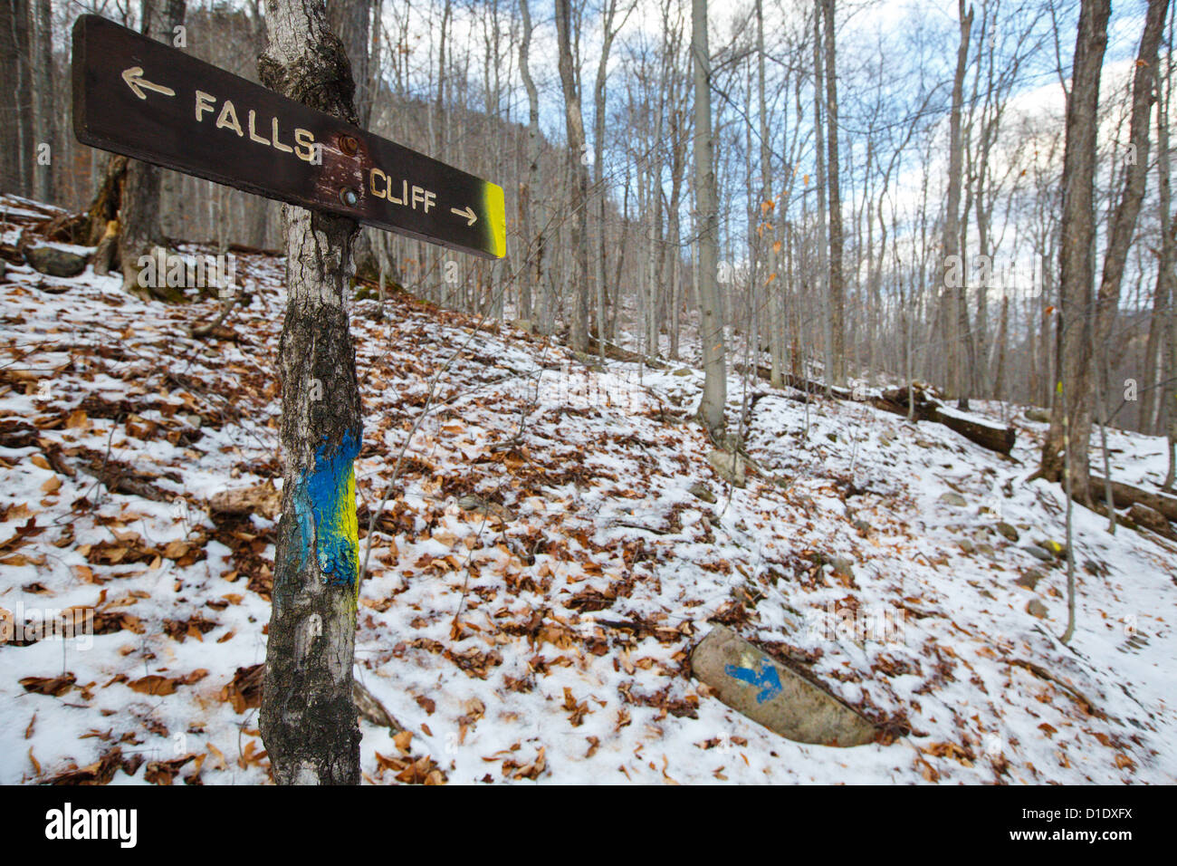 Blaze Trail entlang der Klippe Frankenstein in den White Mountains, New Hampshire, USA Stockfoto