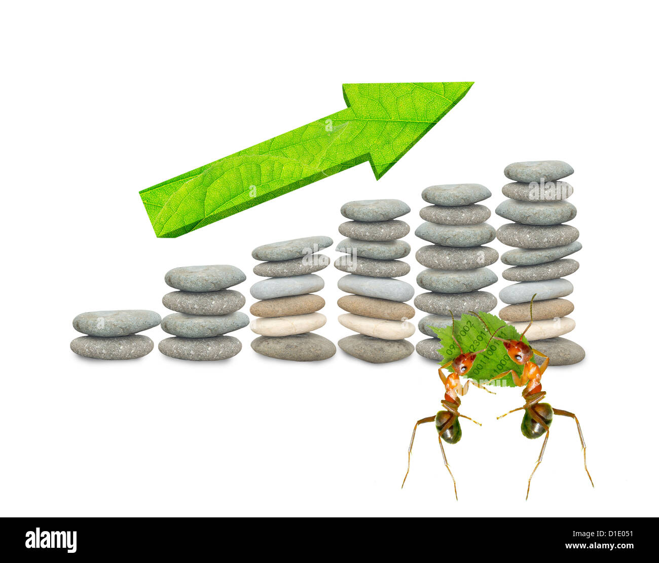 Die Ameisen Business Financial Statistics Stockfoto