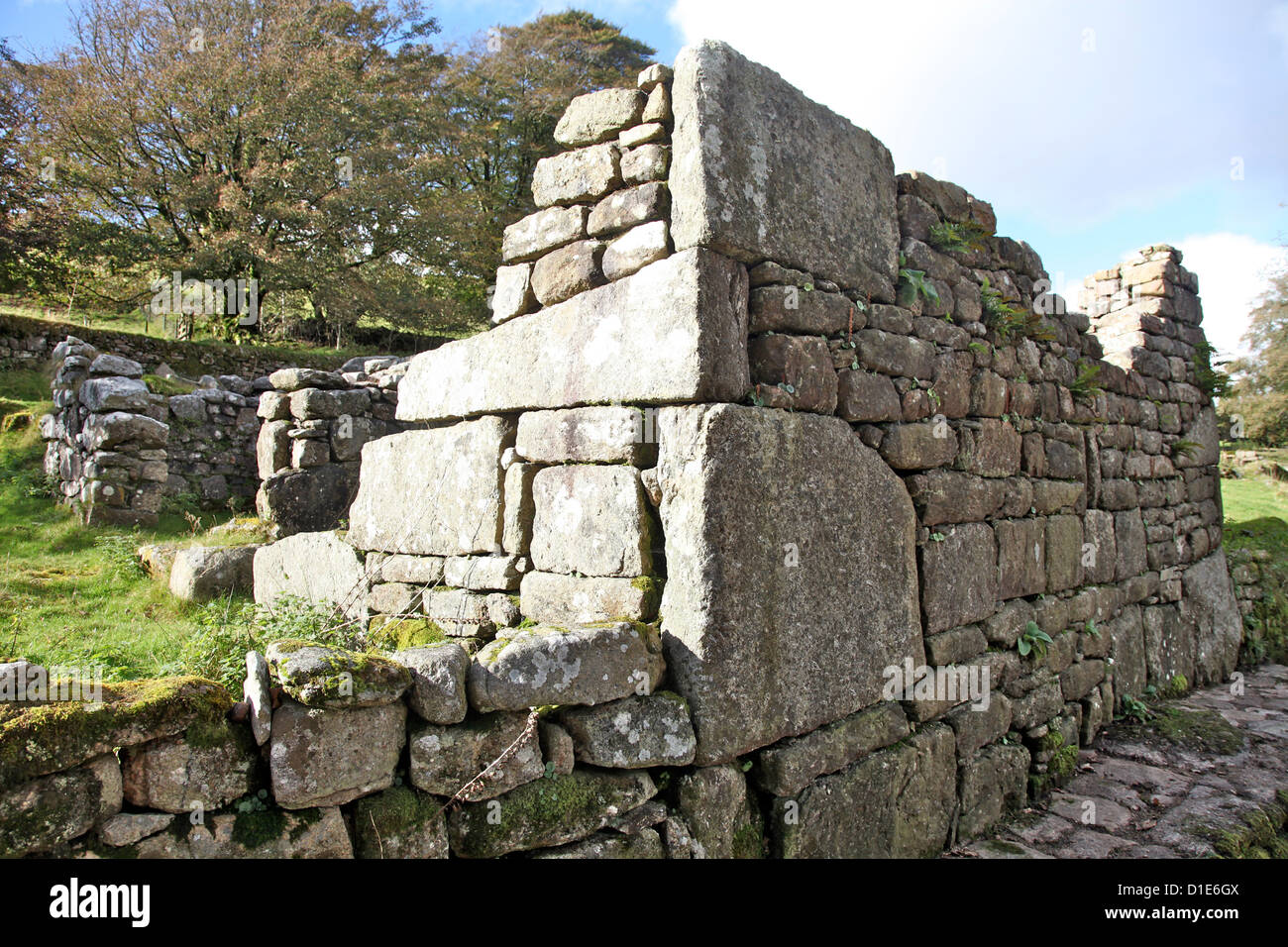 Zerstörten Mauern eines ehemaligen mittelalterlichen Dorfes am Challacombe, Dartmoor, Devon, England, Vereinigtes Königreich, Europa Stockfoto