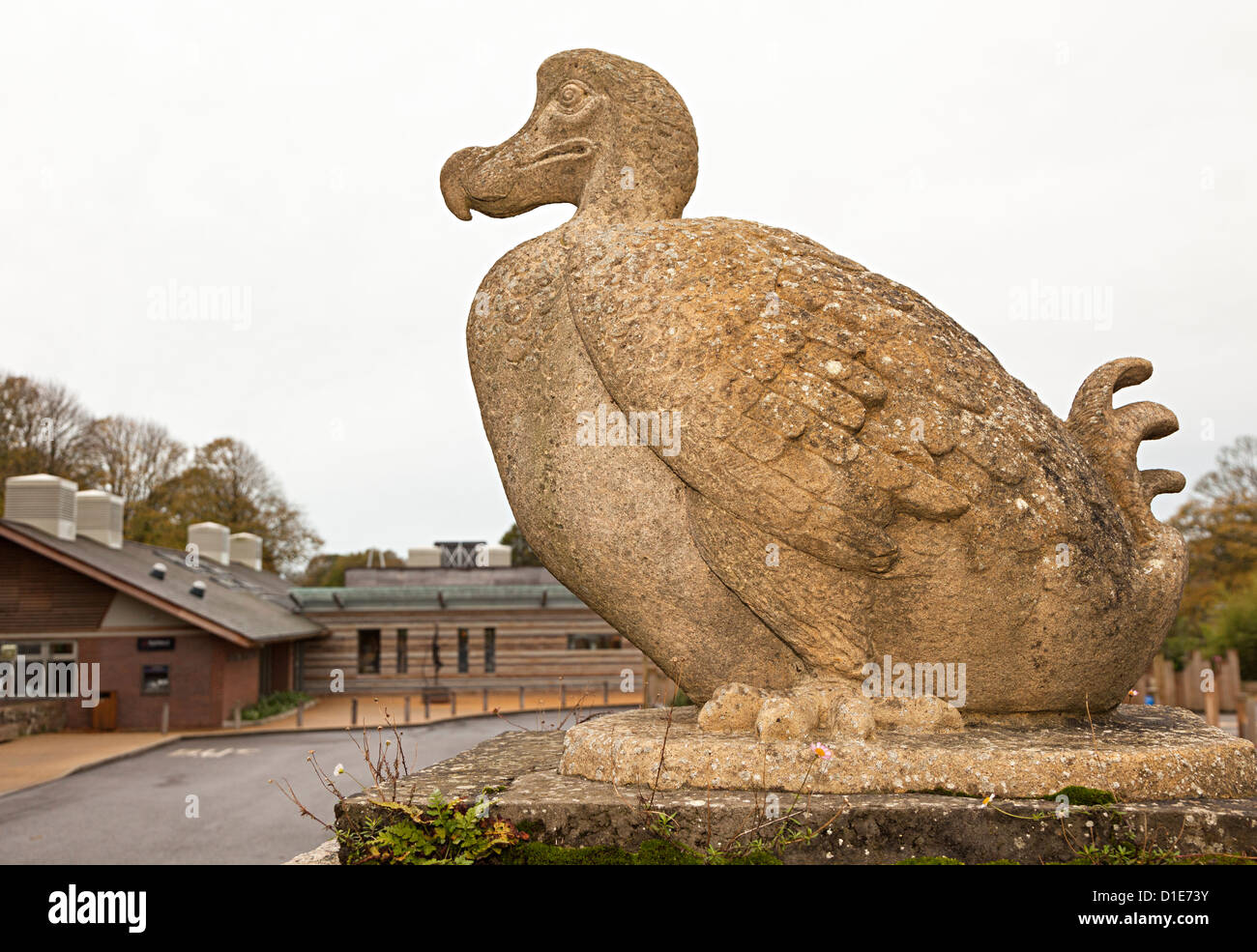Dodo auf Säule, Durrell Wildlife Park, Jersey, Kanalinseln, Großbritannien Stockfoto