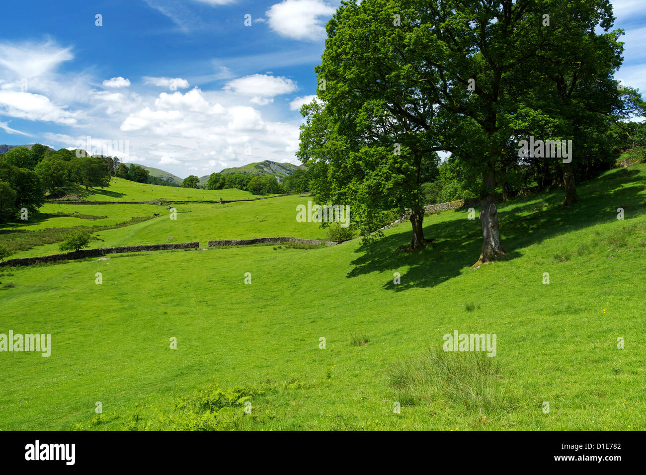 Loughrigg fiel, Nationalpark Lake District, Cumbria, England, Vereinigtes Königreich, Europa Stockfoto