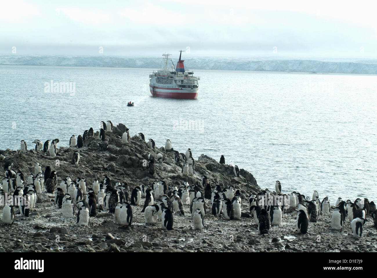 Kinnriemen Pinguine am Ufer mit Kreuzfahrt Schiff und Zodiac im Hintergrund, Hannah Point, Anarctica, Polarregionen Stockfoto