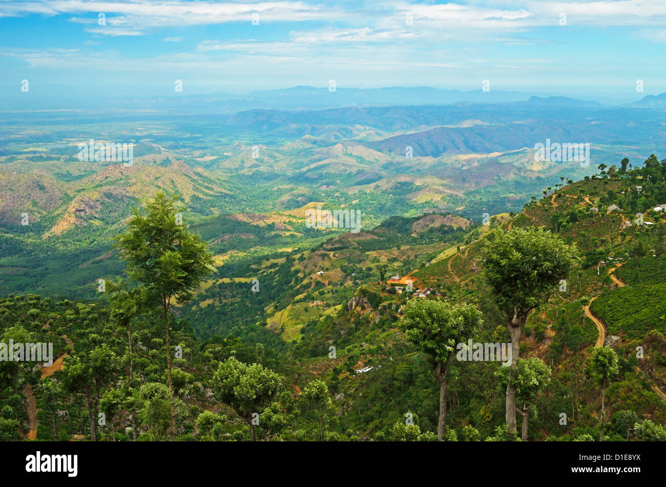 Blick auf Teeplantagen von Liptons Sitz, Haputale, Sri Lanka, Asien Stockfoto