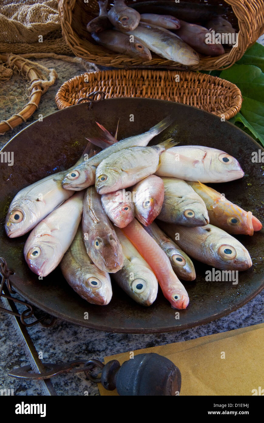 Steelyard Gleichgewicht mit Mittelmeerfischen, Dorade, Wanne Knurrhahn, Comber und rote Bandfish, Italien Stockfoto