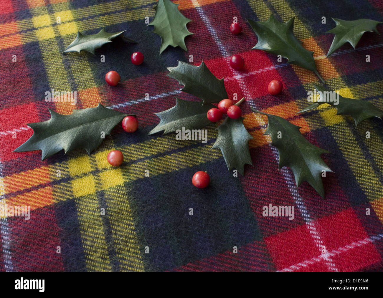 Holly Blätter und Beeren Stockfoto
