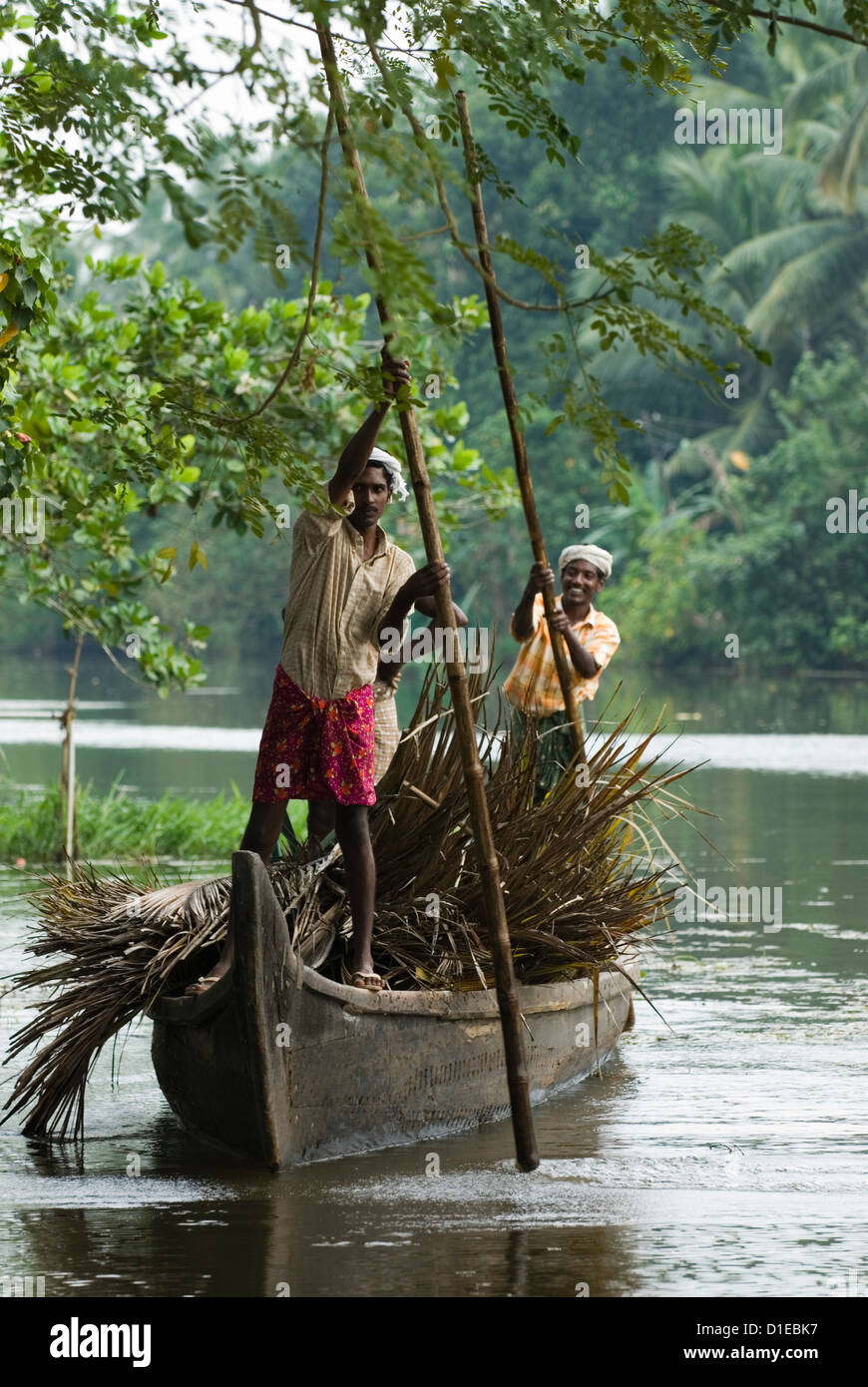 Einheimische, die Transport von Palmblättern auf den Backwaters, in der Nähe von Alappuzha (Alleppey), Kerala, Indien, Asien Stockfoto