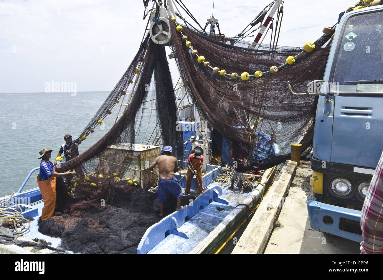 Artesanal Ringwadenfänger bekannt als typisches Boote sind üblich an der lateinischen Amereican Küste des Pazifiks, Peru Stockfoto