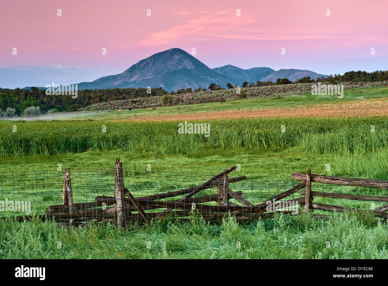 Schlafen Ute Peak, Weeminuche indische heilige Berg, gesehen bei Sonnenaufgang über Felder in der Nähe von Cortez, Colorado, USA Stockfoto