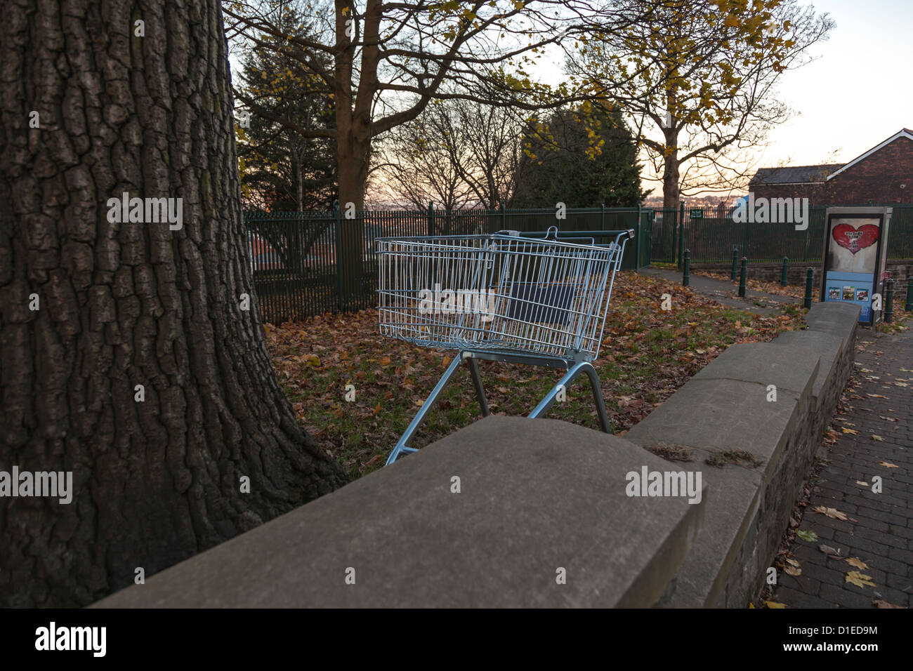 Einkaufswagen geworfen außerhalb vorstädtischen Parks. Stockfoto