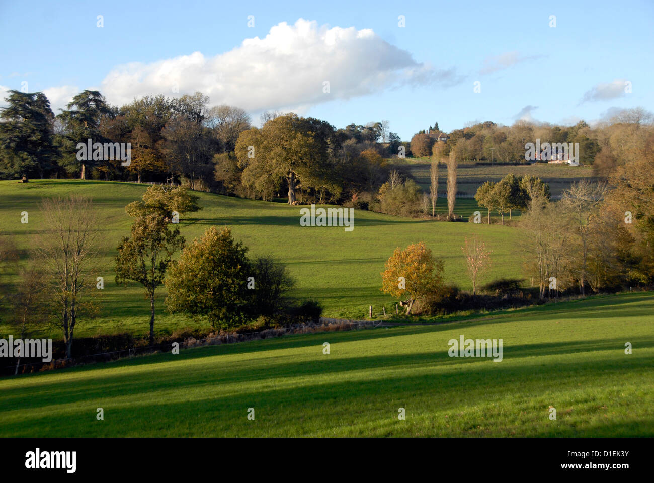 Blick auf Mitte Sussex Landschaft, UK Stockfoto