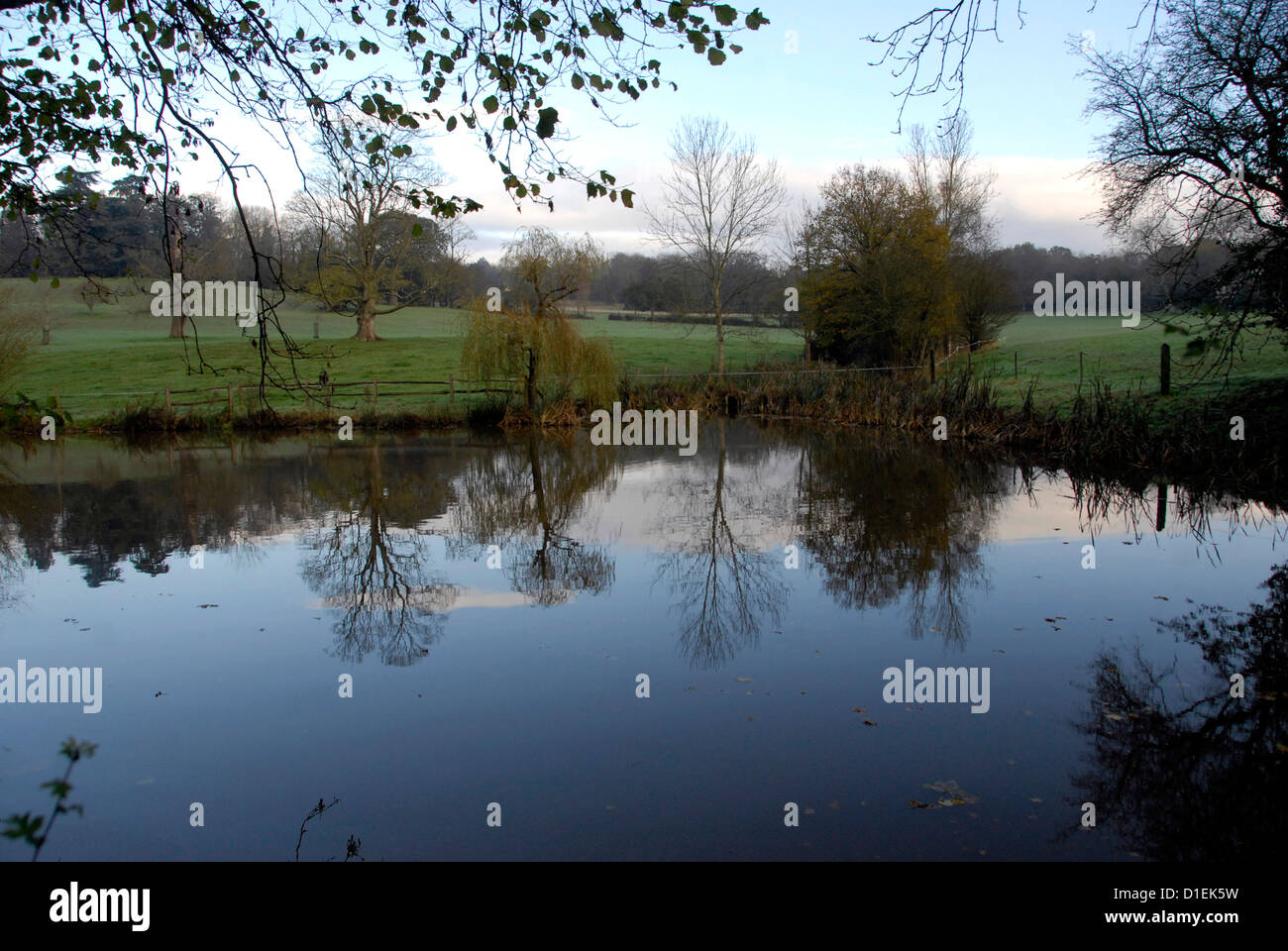 Blick auf Teich mit Bäumen Mitte Landschaft Sussex, UK Stockfoto