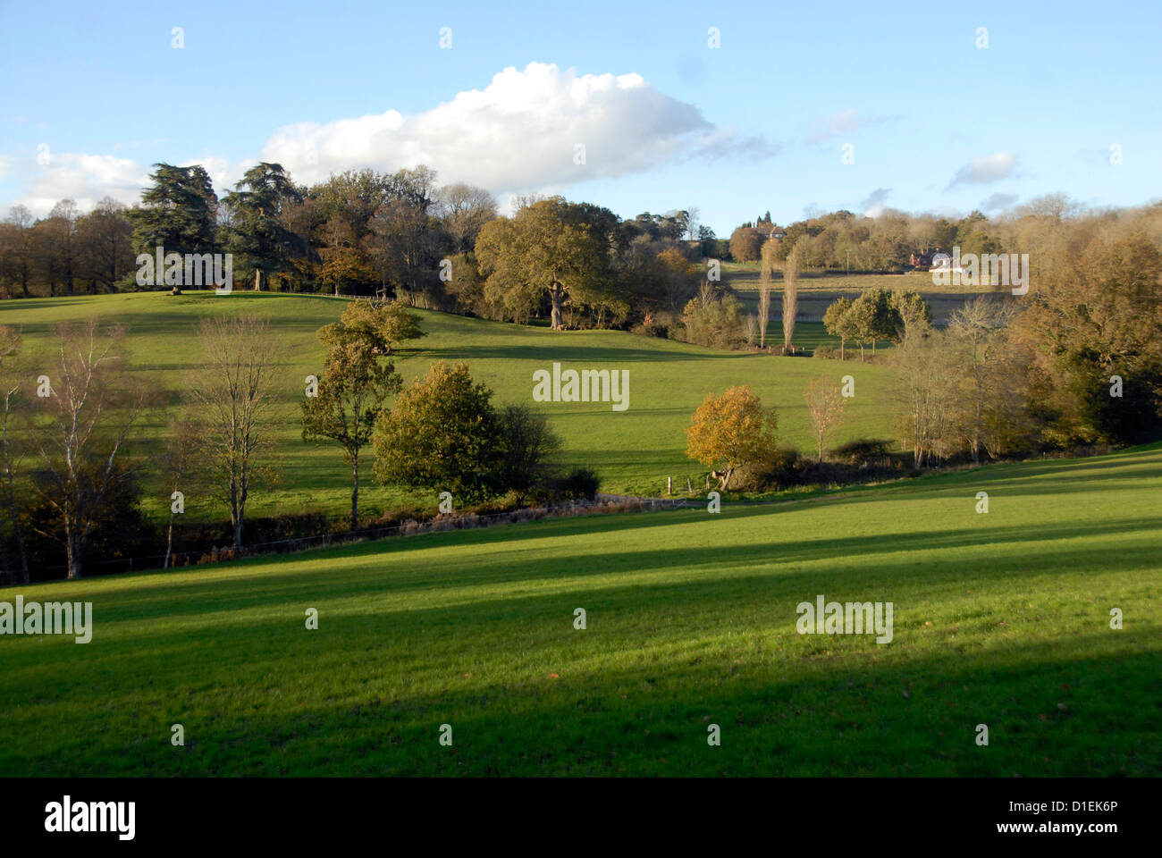 Blick auf Mitte Sussex Landschaft, UK Stockfoto
