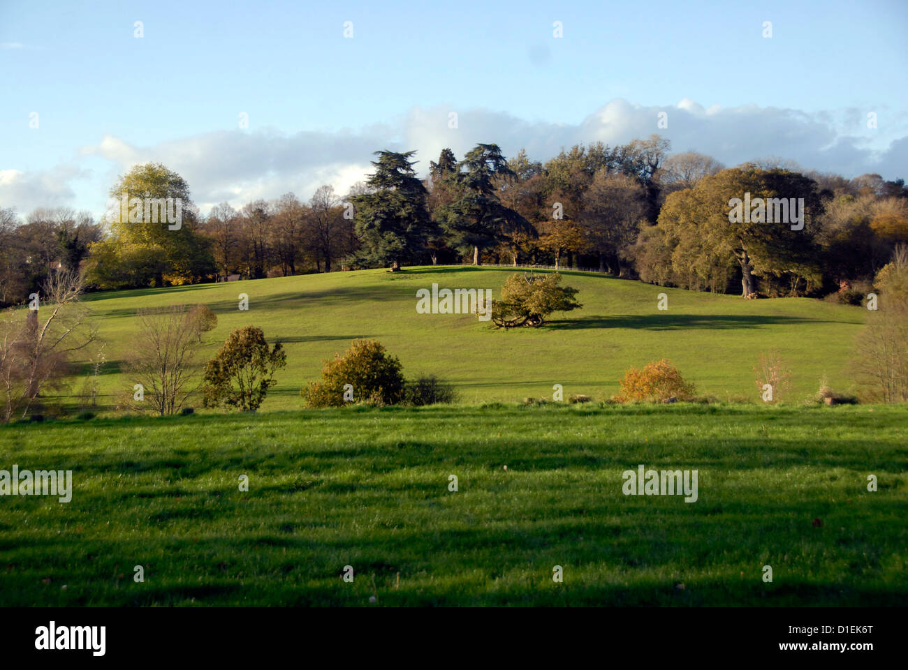 Blick auf Mitte Sussex Landschaft, UK Stockfoto