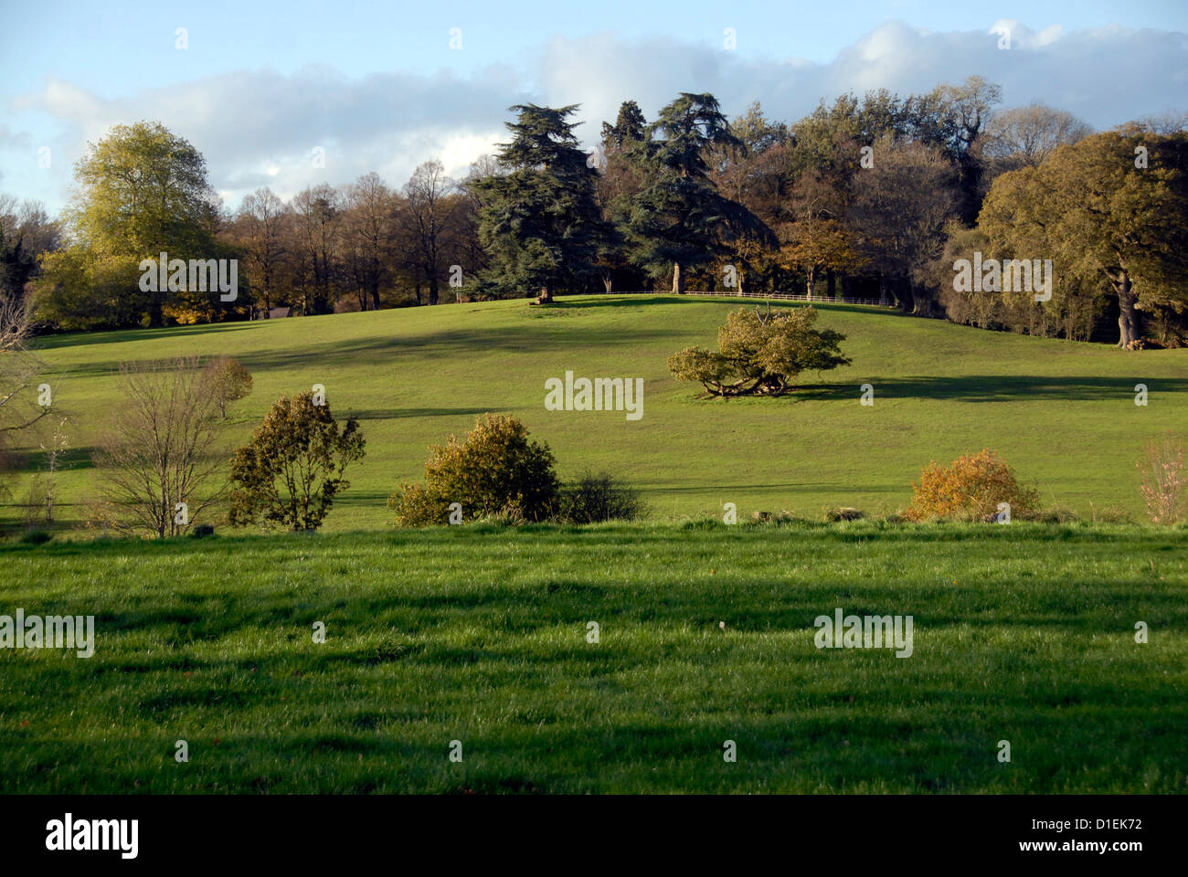 Blick auf Mitte Sussex Landschaft, UK Stockfoto