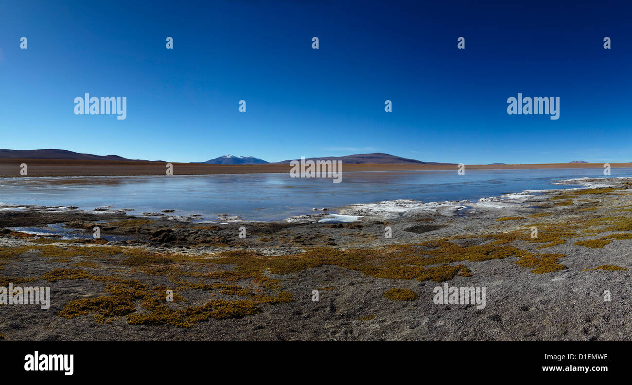 Laguna Hedionda, Eduardo Avaroa Nationalpark, Bolivien, Südamerika, Amerika Stockfoto