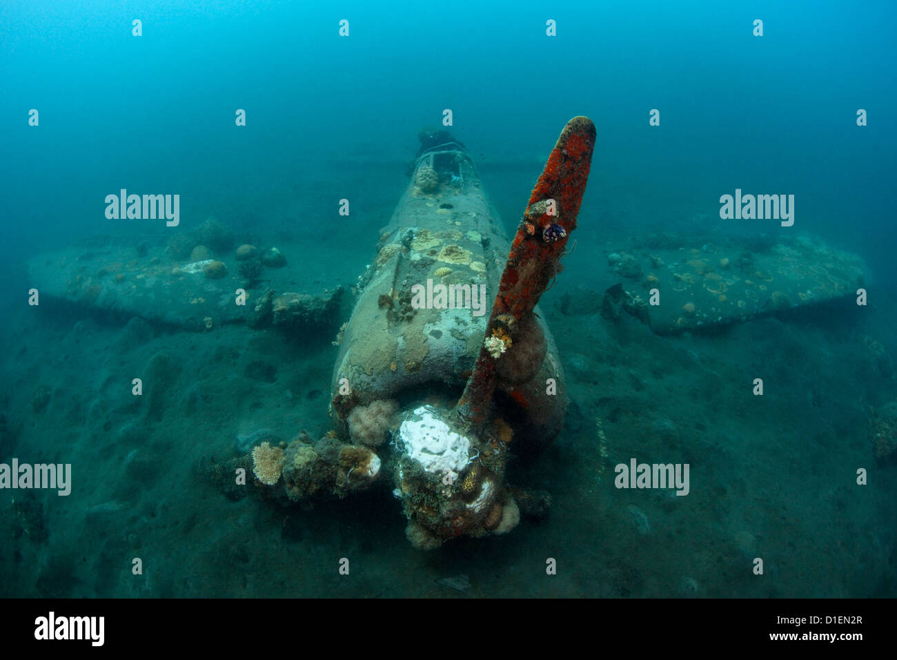 Wrack eines japanischen zero Fighter Plan in Kimbe Bay, Papua-Neu-Guinea Stockfoto