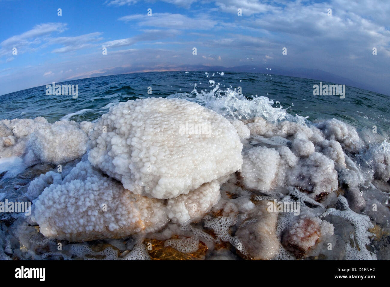 Salzkristall-Formationen im Toten Meer, Israel Stockfoto