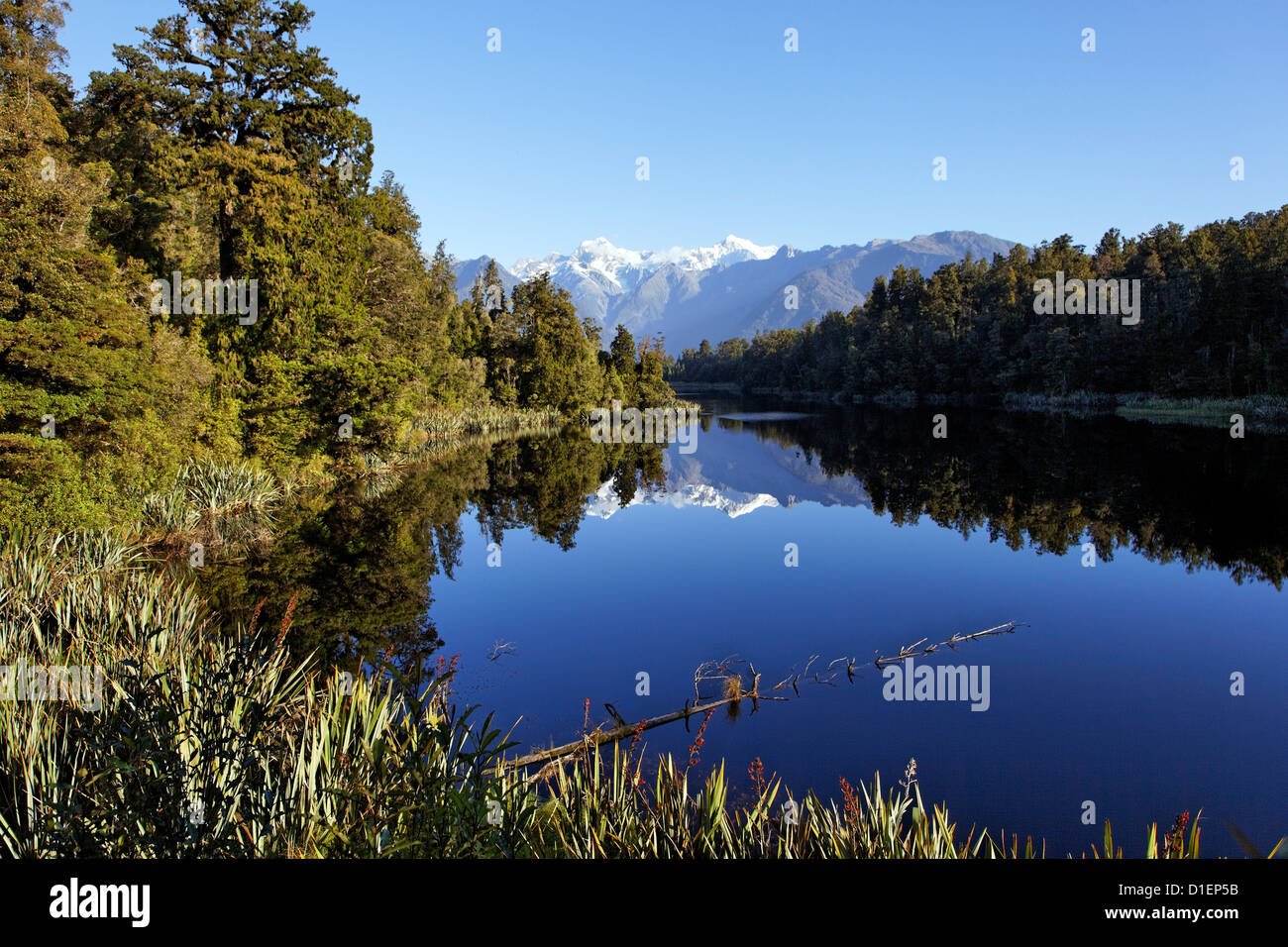 Lake Matheson mit der Reflexion des Fox-Gletschers, Südinsel, Neuseeland Stockfoto