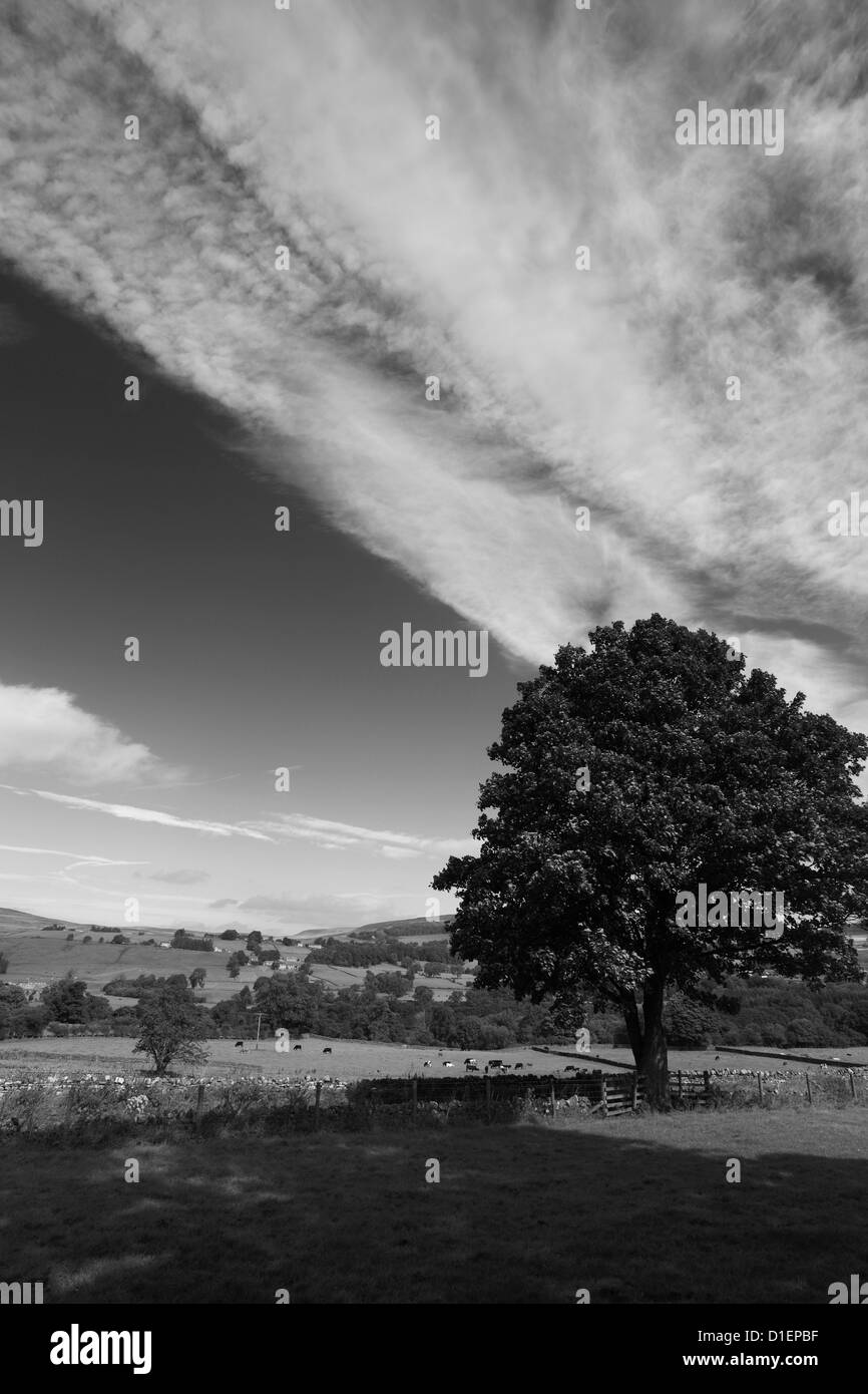 Panorama-Bild, Sommerlandschaft Blick über Middleton in Teesdale, Teesdale, County Durham, England, Großbritannien, UK Stockfoto