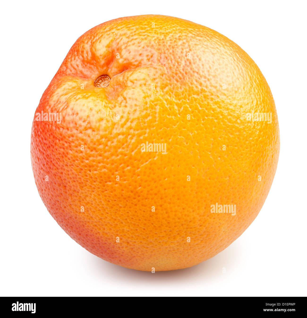 Grapefruit voll auf weißem Hintergrund Stockfoto