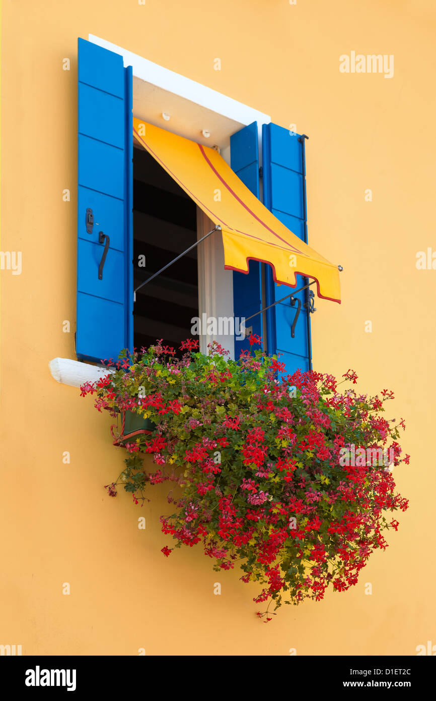 Fenster mit blauen Verschluss und rote Blüten, Burano Insel in der Nähe von Venedig, Italien Stockfoto