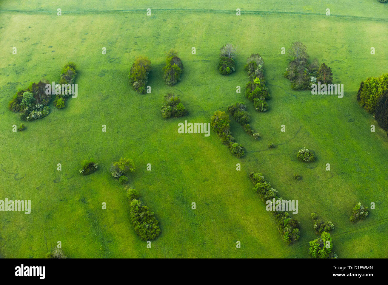 Wiese mit Bäumen im Donautal, Luftaufnahme Stockfoto