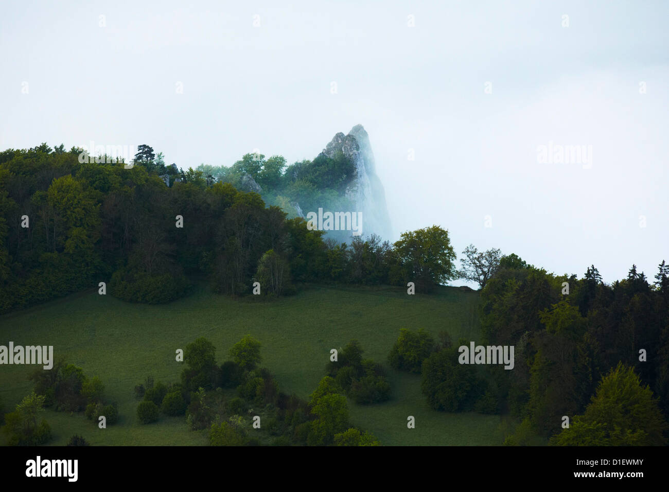 Morgennebel mit Wald und Felsen im Donautal Stockfoto