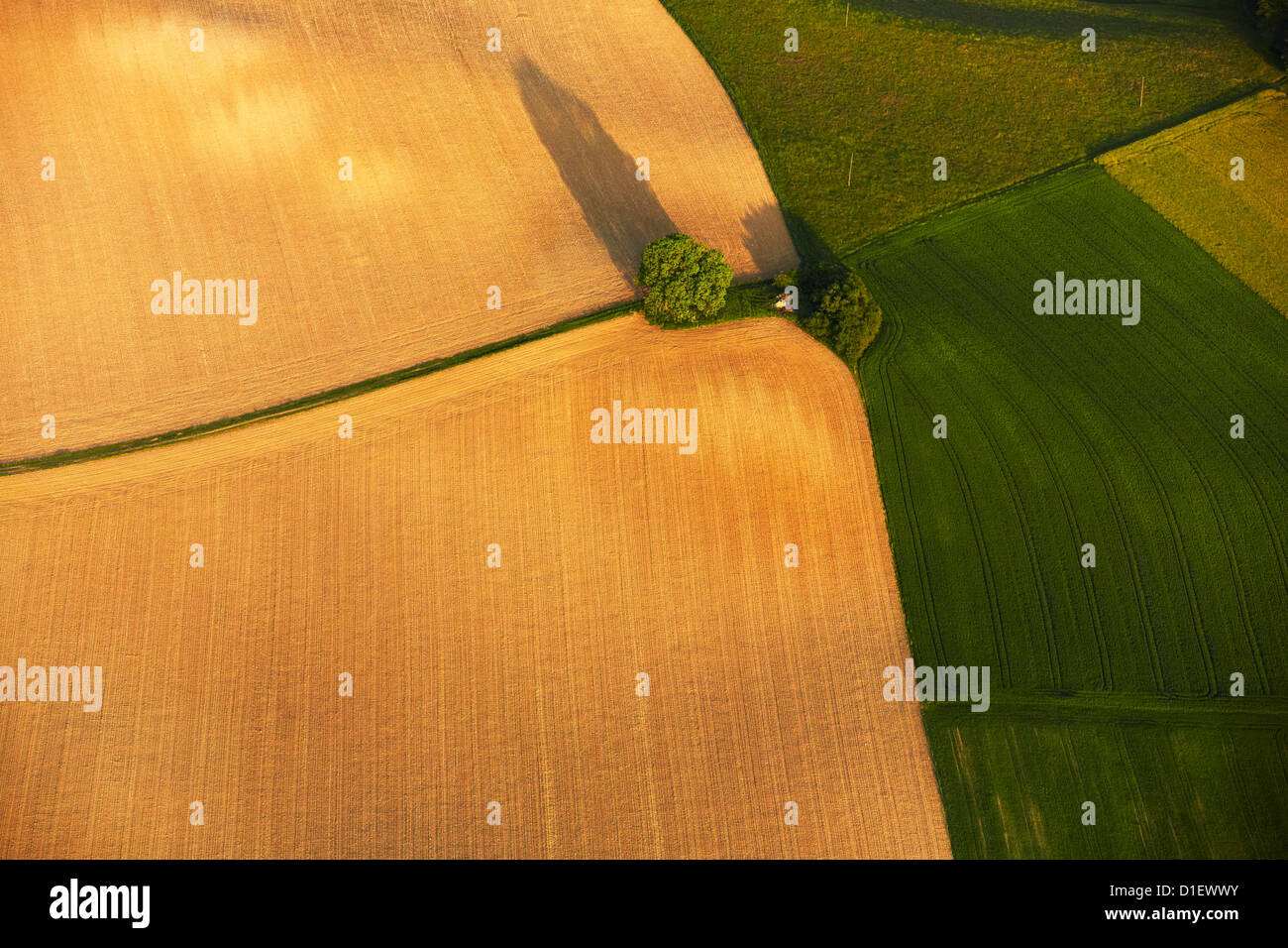 Landschaft mit Baum, Weg und Felder, Luftaufnahme Stockfoto