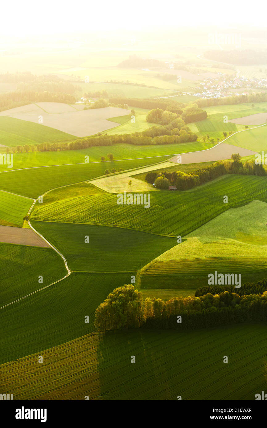 Grüne Felder und Bäume bei Gegenlicht, Luftaufnahme Stockfoto