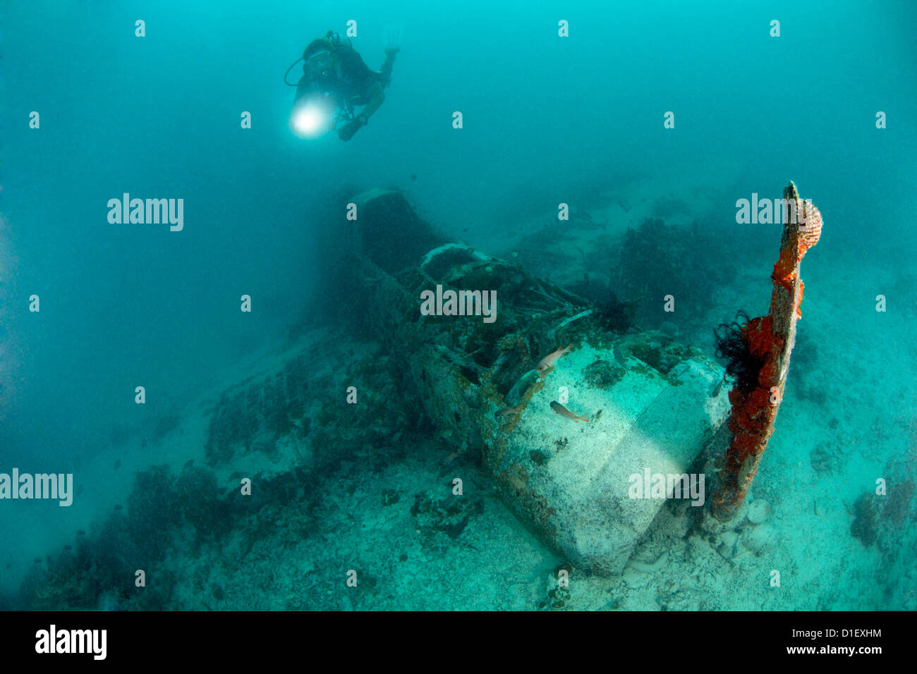 Flugzeugwrack aus dem zweiten Weltkrieg in den Hafen von Kavieng, Papua Neu Guinea, unter Wasser geschossen Stockfoto