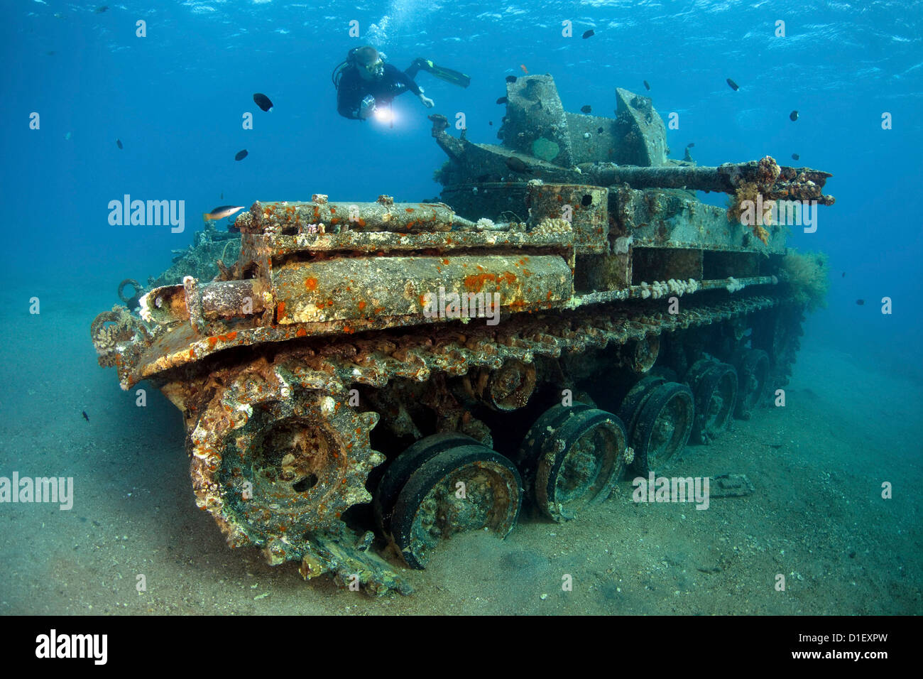 Taucher in einem Tank Wrack, roten Meer in der Nähe von Aqaba, Jordanien, unter Wasser geschossen Stockfoto