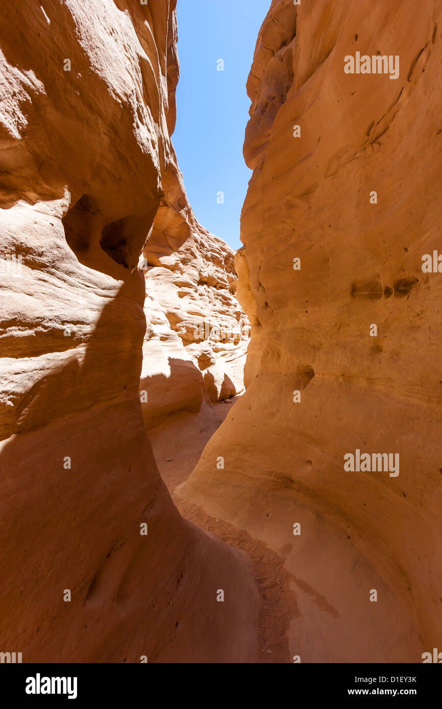 Einen schmalen verwinkelten Sandstein-Canyon in der Wüste Sinai Stockfoto