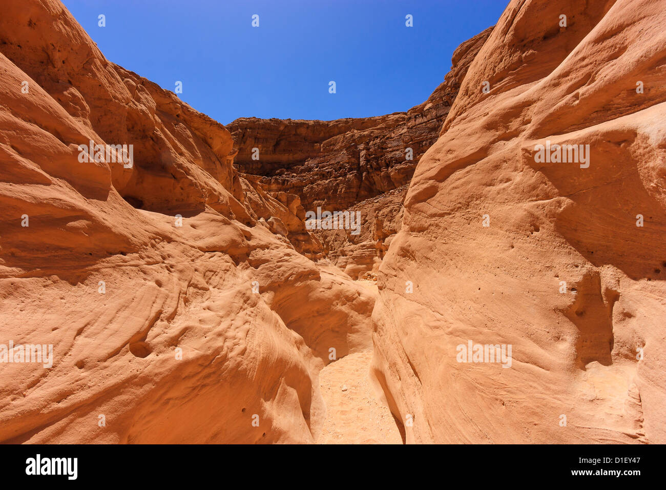 Eine schmale Sandstein Wüste Schlucht in einer abgelegenen Gegend Stockfoto