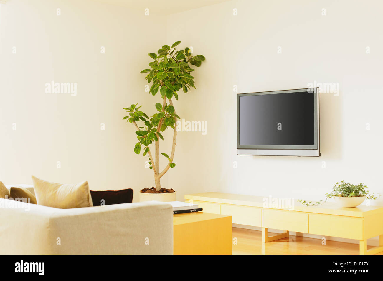 Wohnzimmer Mit Einer Pflanze Mobeln Und Einem Lcd Tv An Der