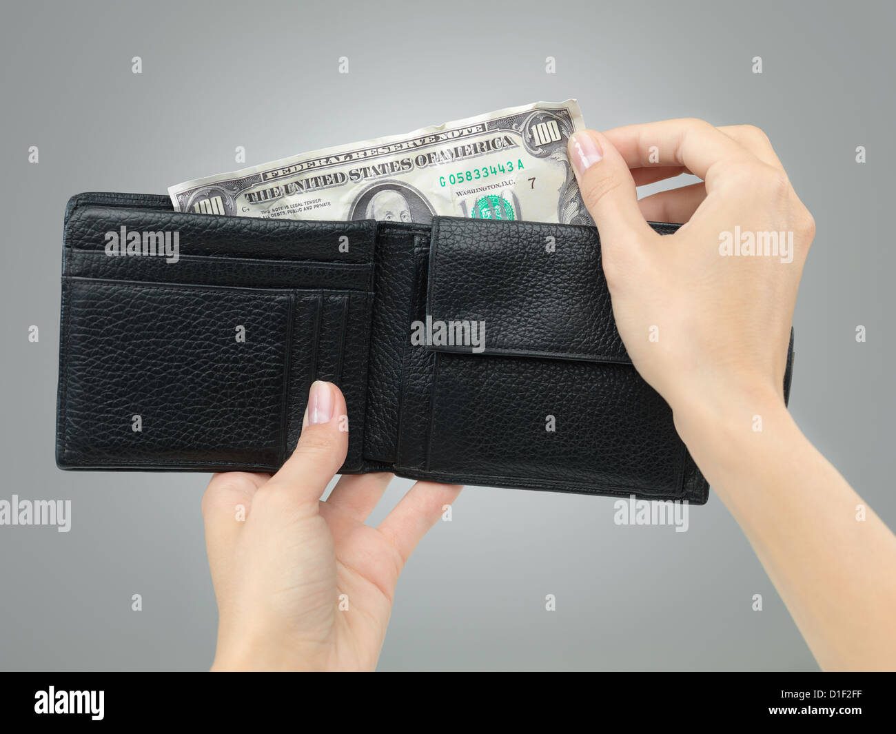 weibliche Hände halten eine schwarze Leder-Portemonnaie zerbröckelte Geld entziehen, auf grauem Farbverlauf Hintergrund Stockfoto