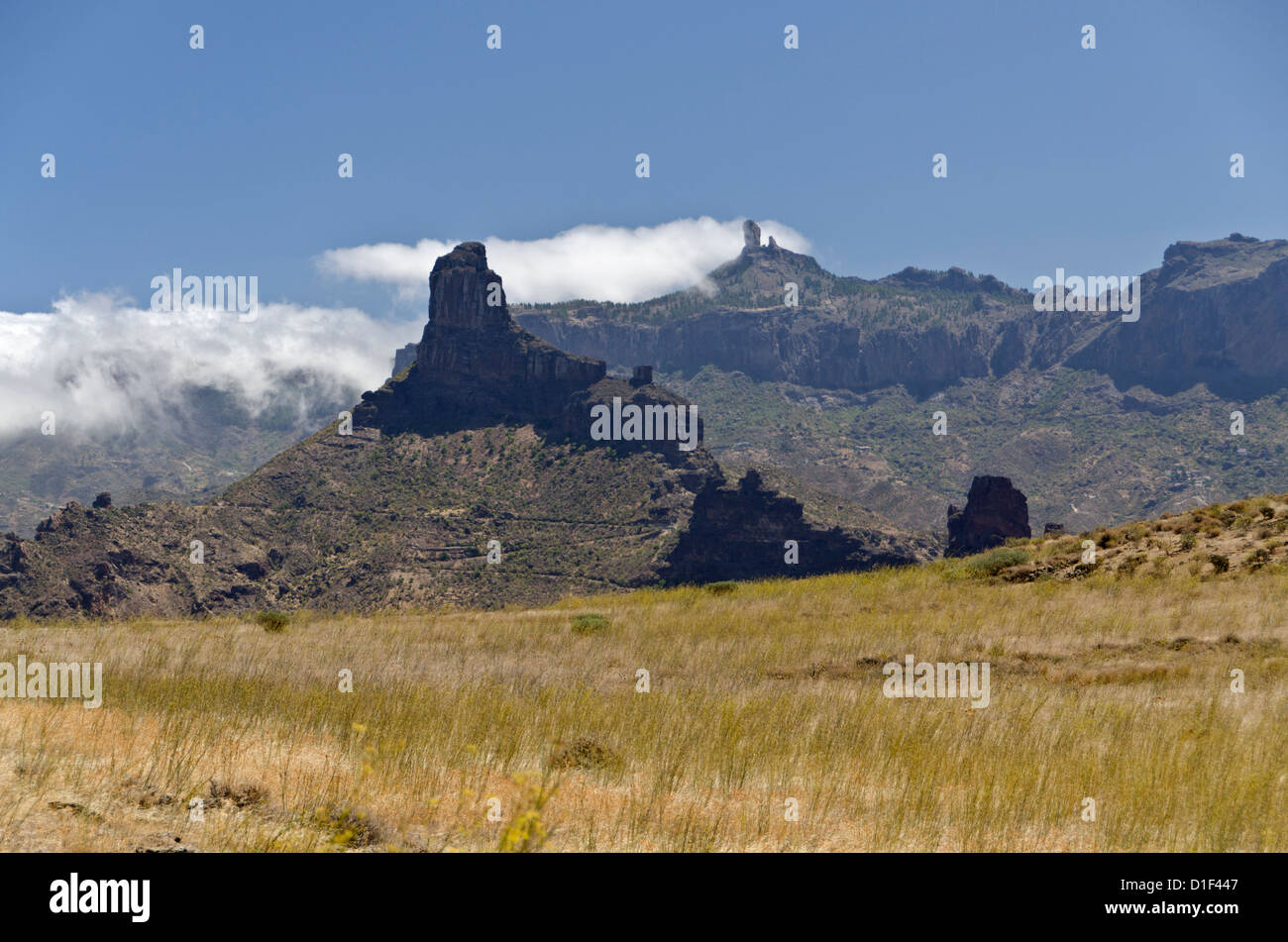 Gran Canaria, Kanarische Inseln, Spanien, Europa Stockfoto