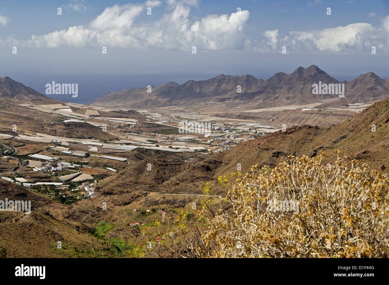 Gran Canaria, Kanarische Inseln, Spanien, Europa Stockfoto